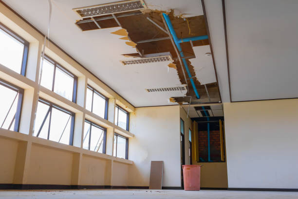 Best Professional water damage repair  in Byron, GA