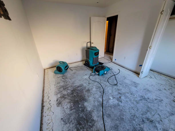 Best Water damage contractors near me  in Byron, GA
