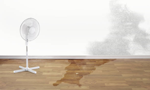 Best Commercial water damage restoration  in Byron, GA