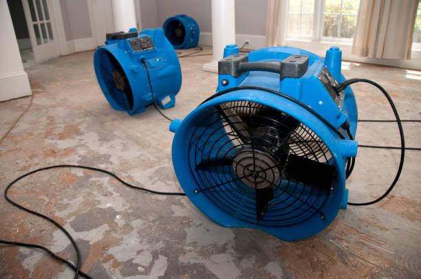 Best Basement water damage restoration  in Byron, GA