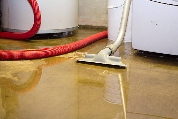 Best Flooded house restoration  in Byron, GA