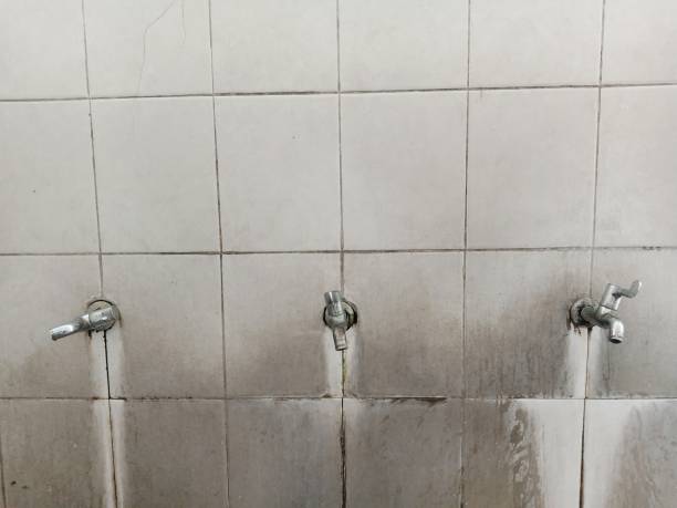 Best Local water damage restoration  in Byron, GA