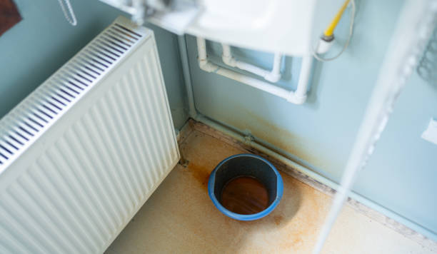 Best Basement water damage restoration  in Byron, GA
