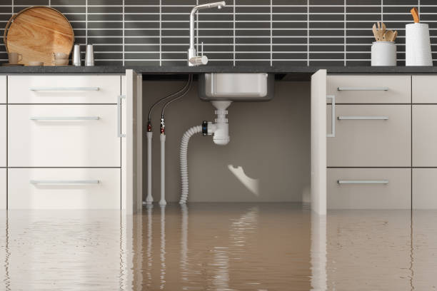 Best Fire Damage Restoration  in Byron, GA