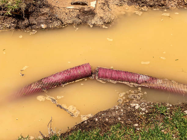 Best Mold removal after water damage  in Byron, GA